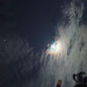 Meet your Posher, Bella